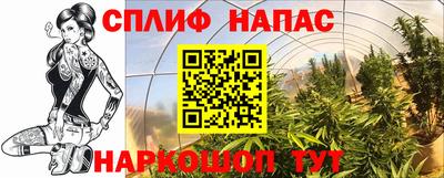 ALPHA PVP Камышлов