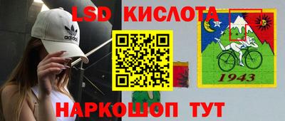 ALPHA PVP Камышлов