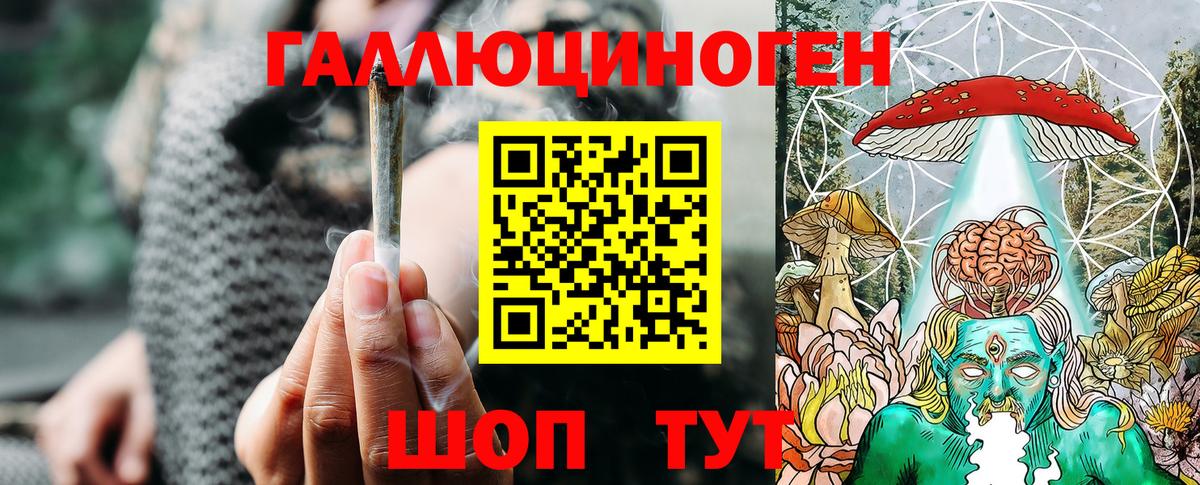 Междуреченск  Псилоцибиновые грибы Cubensis  Вход с VPN 